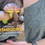 Best Mycology practical student: Rachel Uys